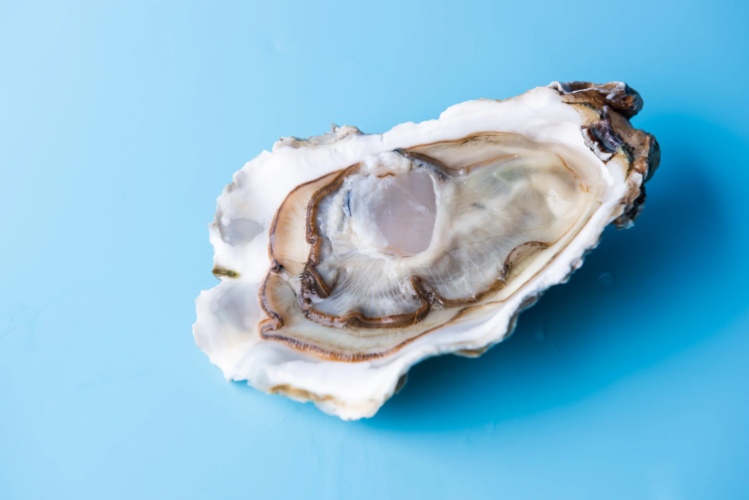 Do aphrodisiacs like oysters and chocolate actually work?