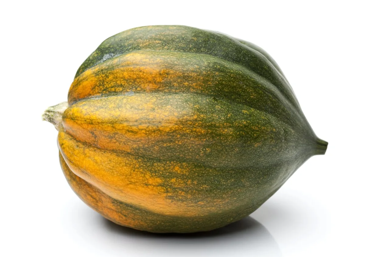 Food pantries that give away stuff people can’t or won’t cook have an ‘acorn squash problem’