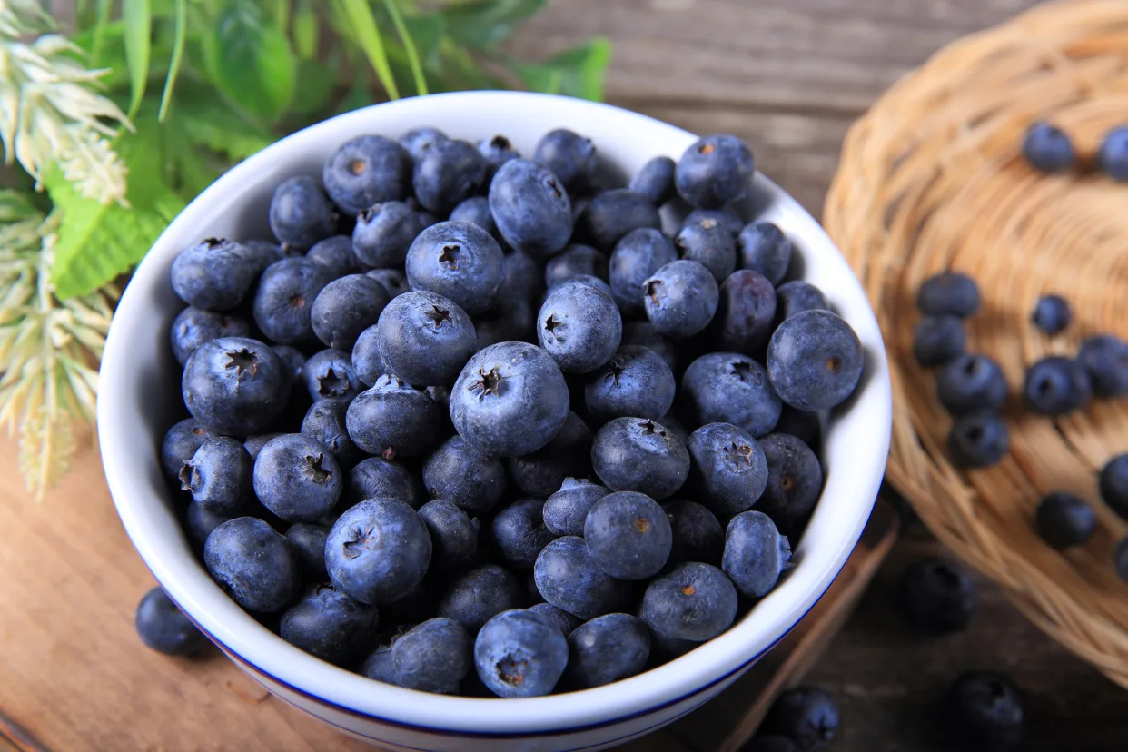 Gut health benefits of blueberries as scientists reveal why they're blue