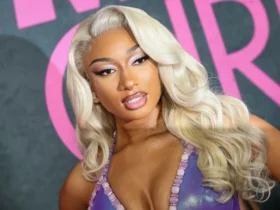 Megan Thee Stallion references Megan's Law in 'Hiss' dis track. What is it?