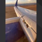 Passenger horror as ‘wing comes apart’ on United Airlines flight from San Francisco to Boston