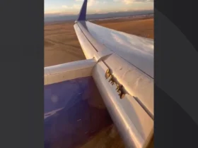 Passenger horror as ‘wing comes apart’ on United Airlines flight from San Francisco to Boston