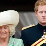 Queen Camilla's big change at Prince Harry's former home that Duke 'cared' about
